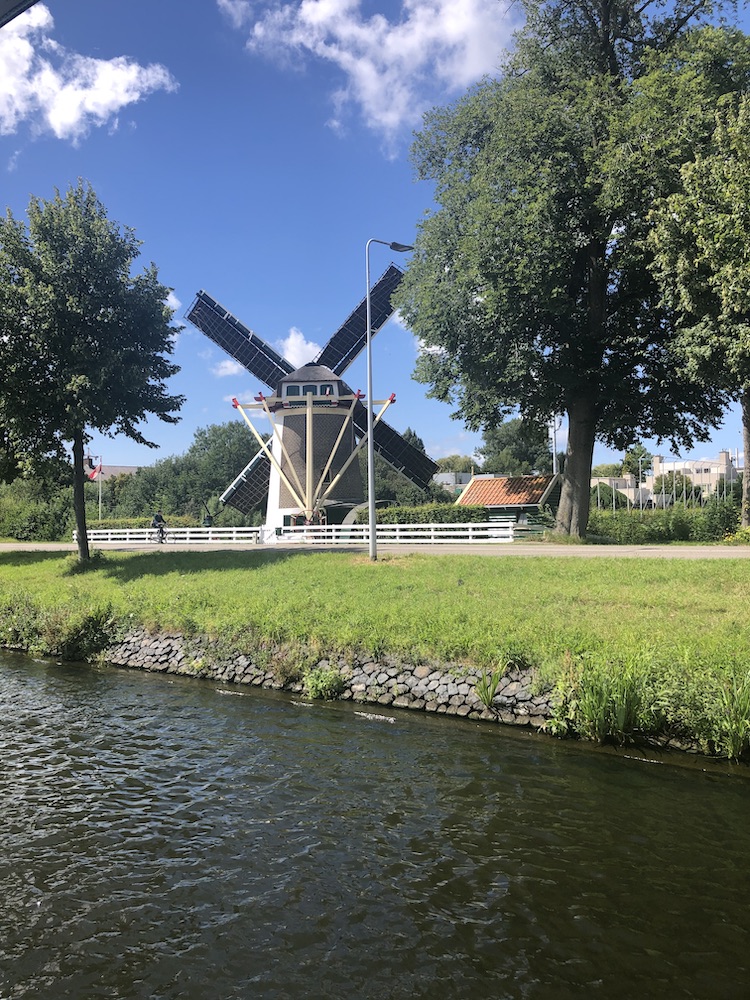 leiderdorp meerval