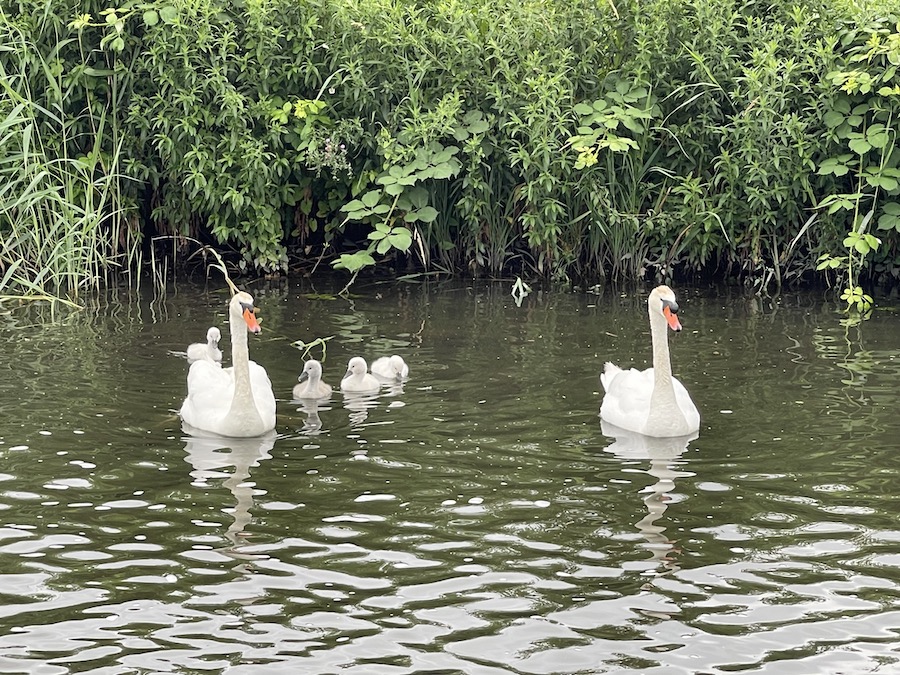 3 trotse vader en moeder