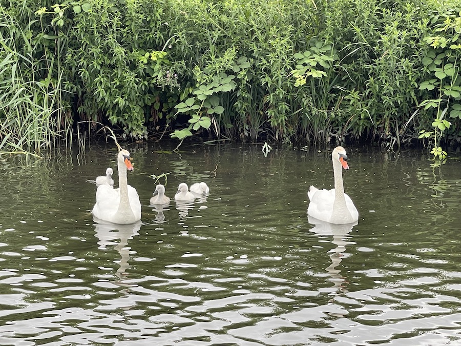 3 trotse vader en moeder