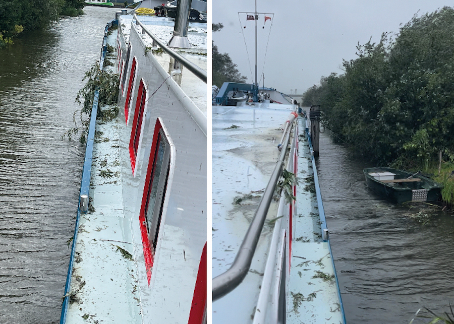 5 storm zij meerval