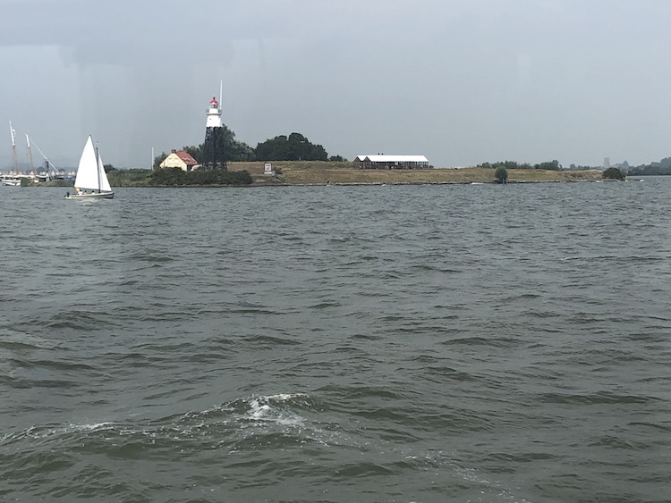 Durgerdam meerval