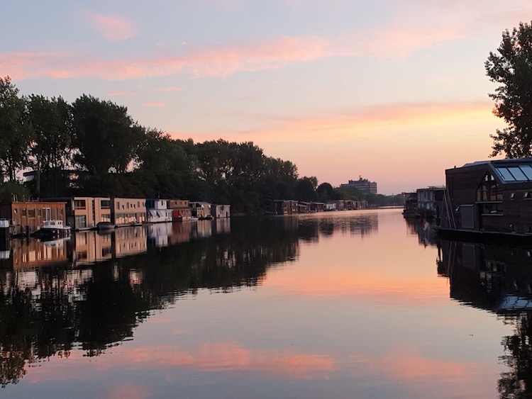 kostverlorenvaart meerval