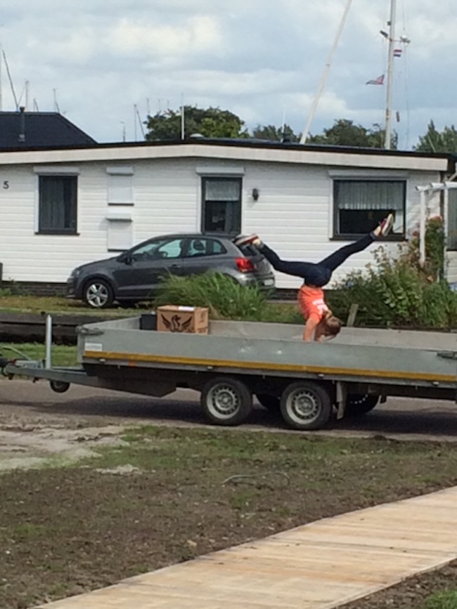 bruggetje roos aanhanger