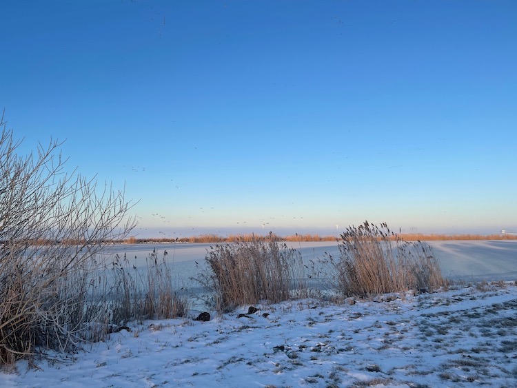 uitzicht meerval