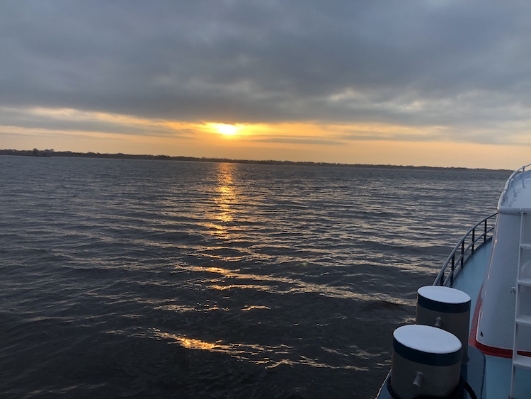 meerval bergummermeer ochtend