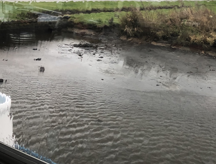 meerval haven droogvallen