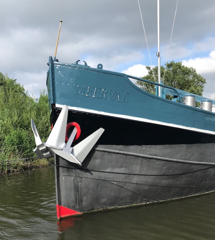 kop meerval geverfd