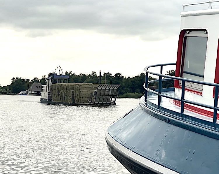 hooi over het water Meerval