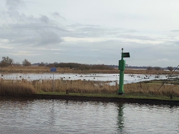 Meerval vaart naar sneek winter 2017.jpg