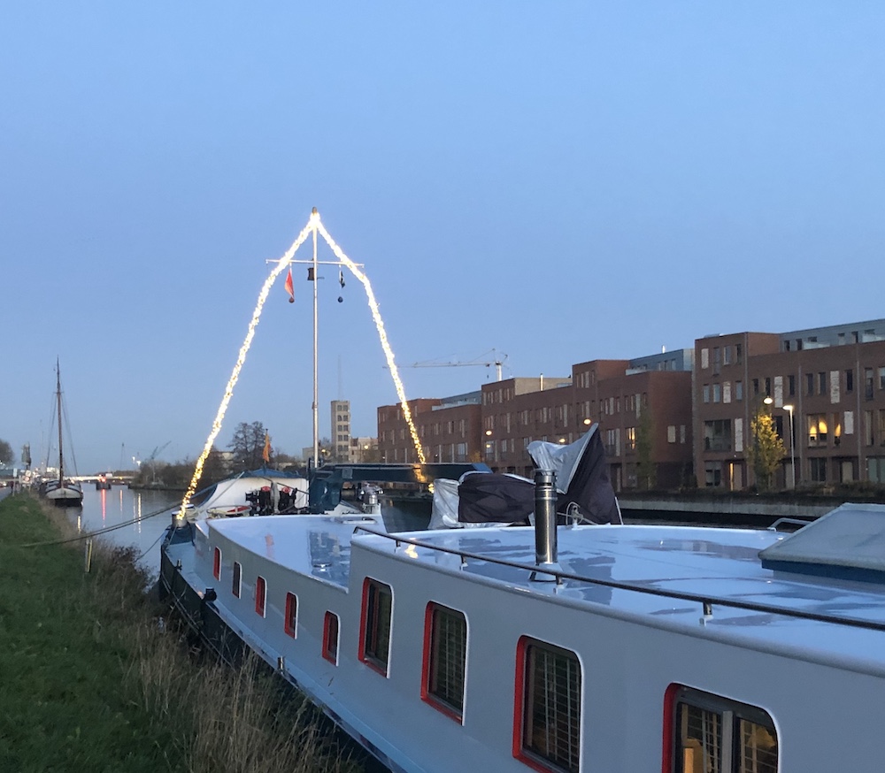 lichtjes mast meerval 2019