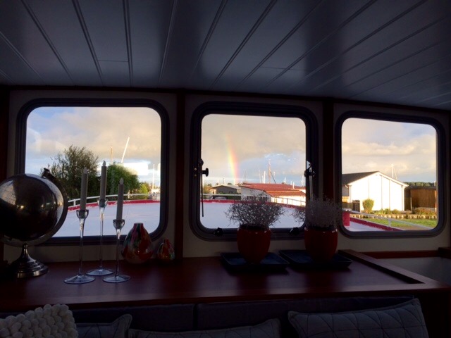 regenboog meerval