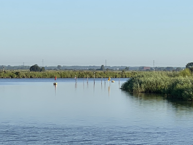 waterstokken meerval