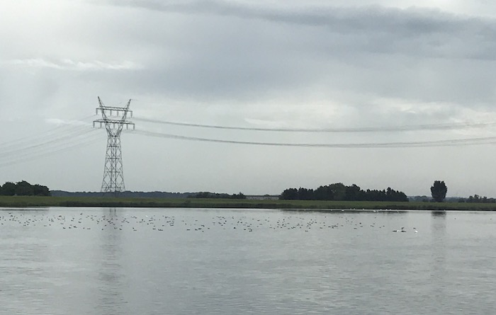 7 Meerkoeten Drontermeer