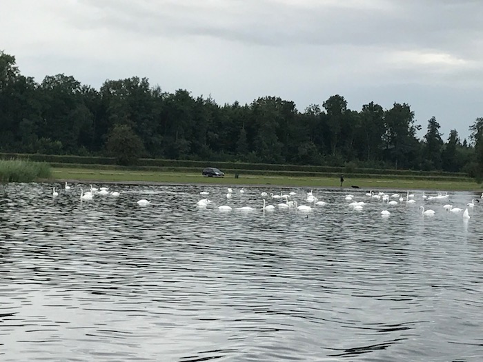 8 drontermeer zwanenrandmeren