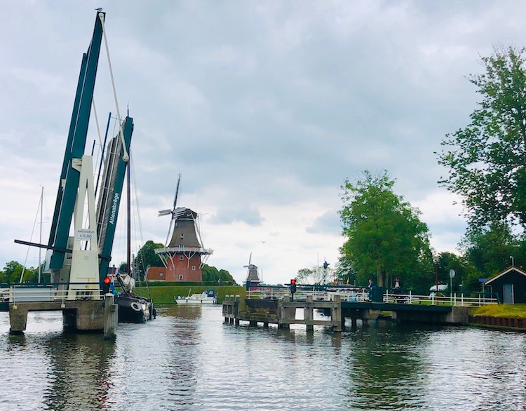 dokkum2