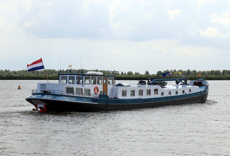 harry de groot foto meerval