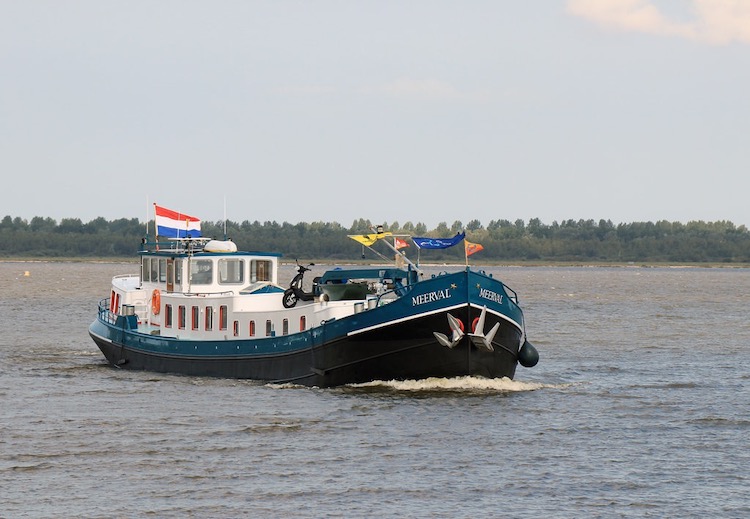 harry de groot foto meerval 1