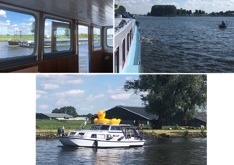 meeval onderweg sneek leeuwarden