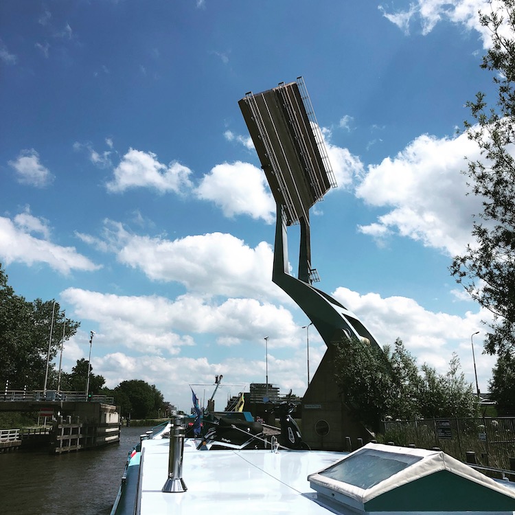 slauerhoffbrug meerval