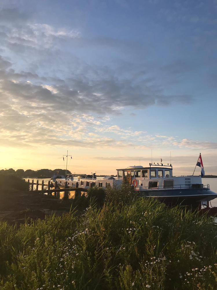 starteiland sneek meerval